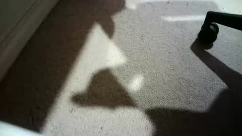 Hypeman online show from 02.24.26