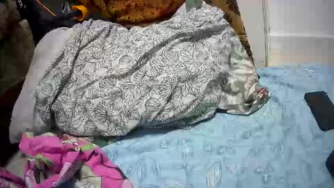 i4cams online show from 01.08.26