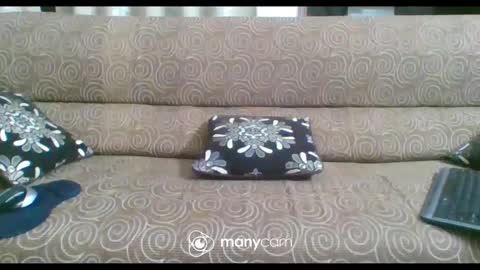 JP online show from 02.21.25