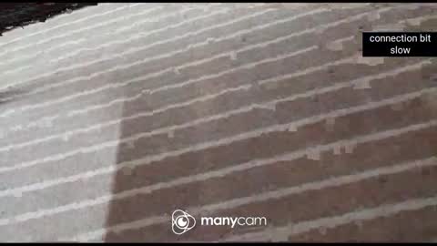 Snapshot of iam_jp084 chatting on 01.07.26 JP online show from 01.07.26