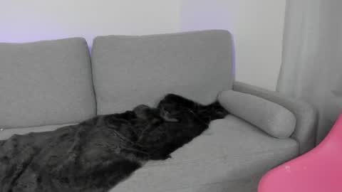    online show from 04.30.26