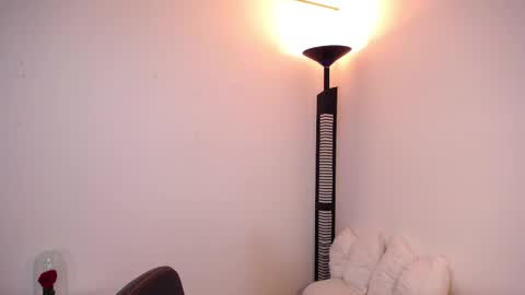 Snapshot of iamroxanne chatting on 01.17.26 Camila online show from 01.17.26