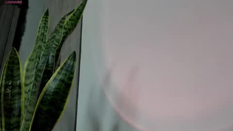 Snapshot of ice_princess__ chatting on 10.12.25 Crystall online show from 10.12.25