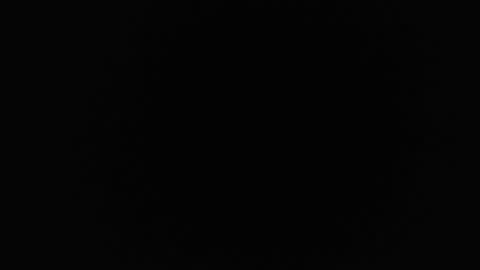 ice_y_abigail online show from 09.27.25