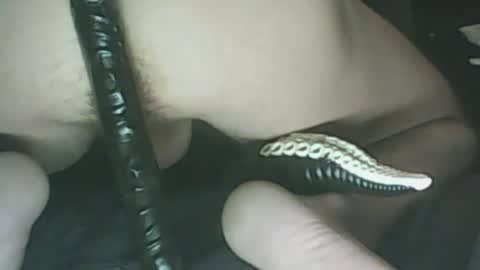 Snapshot of ikercheal chatting on 01.29.25 ikercheal online show from 01.29.25