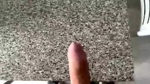 Snapshot of ilconte81 chatting on 03.10.26 ilconte81 online show from 03.10.26