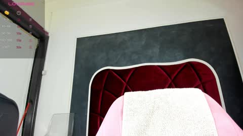 illegal_lorry online show from 01.31.25