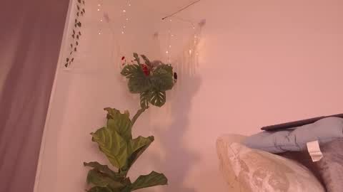 Snapshot of im__kaia chatting on 01.09.26 Kaia online show from 01.09.26