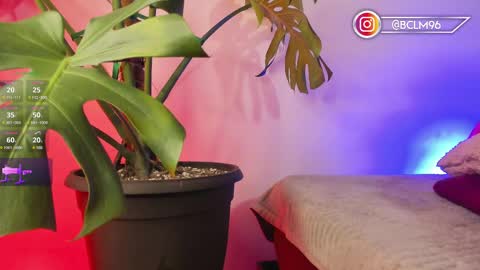 Snapshot of im_bryan chatting on 02.12.25 Bryan online show from 02.12.25