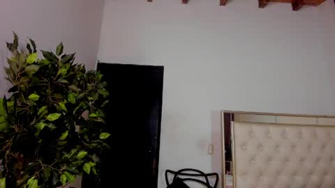 FELIX online show from 05.01.26
