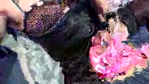 Snapshot of imabigolperv chatting on 03.02.26 imabigolperv online show from 03.02.26