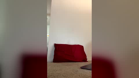 imdirtydan024 online show from 05.29.26