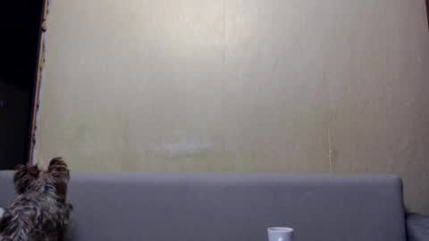 irina online show from 01.06.26