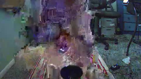 imurl0stluv online show from 04.20.26