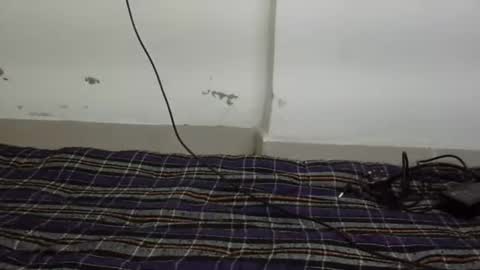 jully online show from 02.10.26