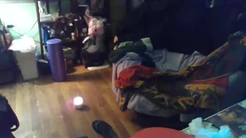 Snapshot of indigo_scorpio chatting on 02.11.26 indigo_scorpio online show from 02.11.26