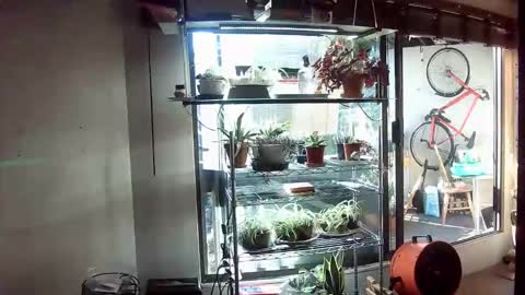BroLOU online show from 06.11.26