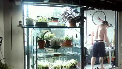 BroLOU online show from 06.15.26