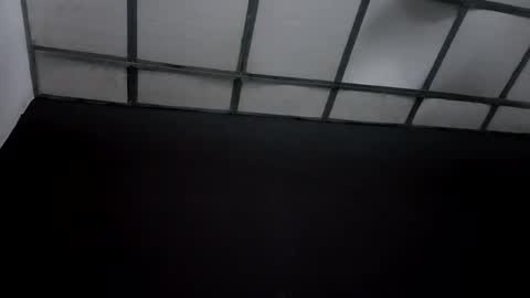 Snapshot of ink_demons chatting on 12.02.25 ink_demons online show from 12.02.25