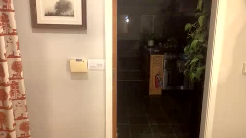 Snapshot of inkpiggy chatting on 02.20.26 inkpiggy online show from 02.20.26