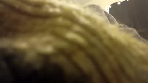 Snapshot of internationalwang chatting on 03.10.25 internationalwang online show from 03.10.25