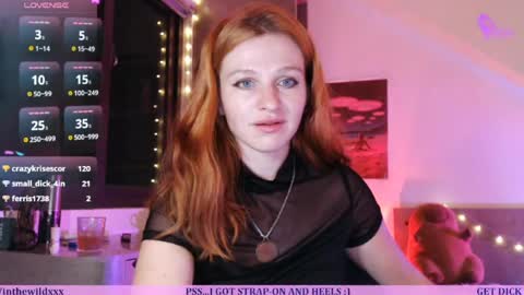 Snapshot of inthewildxxx chatting on 04.03.26 Cassie online show from 04.03.26