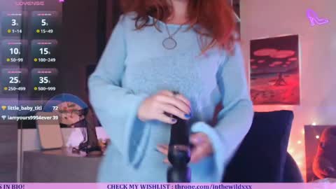 Snapshot of inthewildxxx chatting on 04.29.26 Cassie online show from 04.29.26