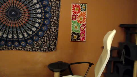 Snapshot of intimatetales chatting on 01.05.25 Africa online show from 01.05.25