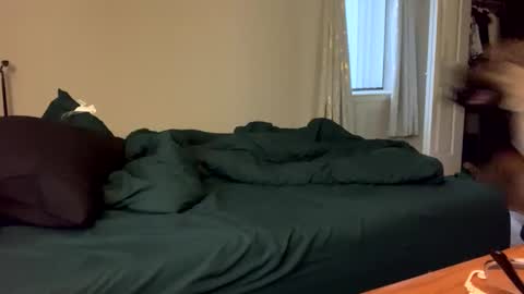 IntoTheWoodsWeGo online show from 03.05.26