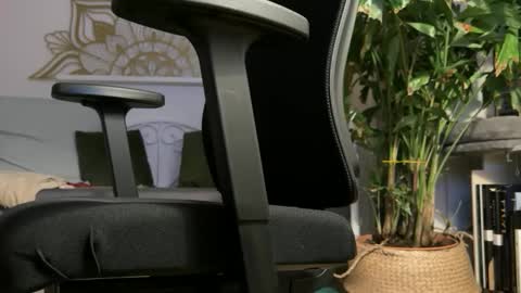 Snapshot of intressiert chatting on 02.19.26 intressiert online show from 02.19.26