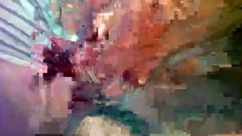 Snapshot of ipuck55 chatting on 12.14.24 ipuck55 online show from 12.14.24