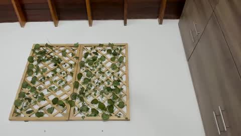 Isabella online show from 02.13.25