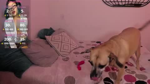 Isa online show from 01.04.25