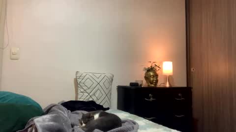 Isa online show from 10.10.25