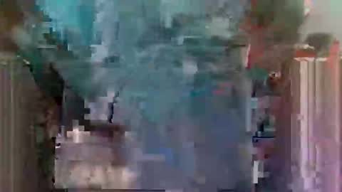 Horny boy online show from 05.28.26