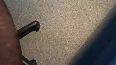 ispm online show from 10.24.25