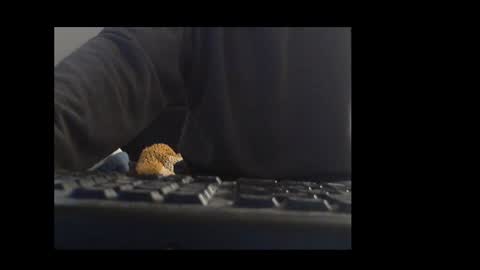 ital25usa online show from 01.10.26