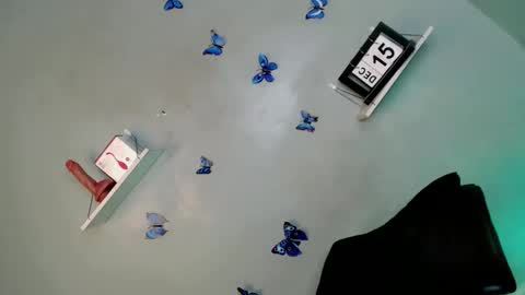 Snapshot of its_me_arabella chatting on 12.15.25 Bella online show from 12.15.25