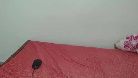 Laynne online show from 11.11.25