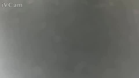 itsnotmeimnew online show from 06.15.26