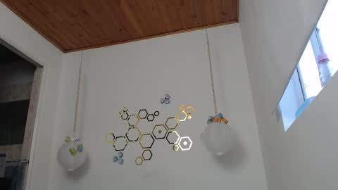 Adris online show from 03.02.25