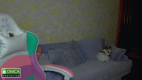 iveran online show from 09.09.25