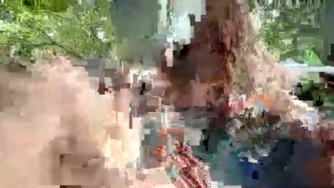 ivysagex online show from 12.20.25