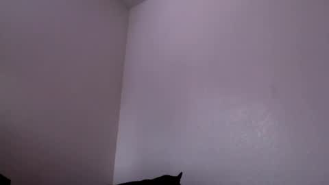 Snapshot of j0nnyk1ng chatting on 02.04.25 Mugen online show from 02.04.25