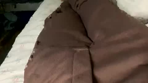 Snapshot of jaaltar chatting on 02.02.26 Jaaltar online show from 02.02.26