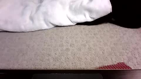 Snapshot of jack_wonder912 chatting on 09.13.25 jack_wonder912 online show from 09.13.25