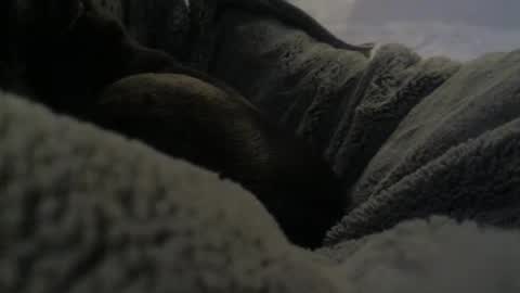 Snapshot of jackad44 chatting on 10.17.25 jackad44 online show from 10.17.25