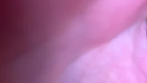 Snapshot of jackjackerman chatting on 10.21.25 jackjackerman online show from 10.21.25