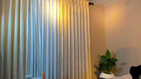 Jackson Bell online show from 12.19.24