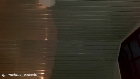 Michael Caicedo online show from 05.06.26